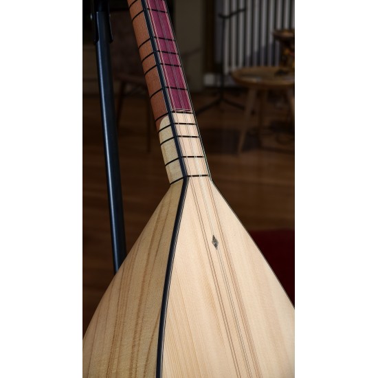 43 CM OYMA DUT KISA SAPLI BAĞLAMA (KOD: 03679)