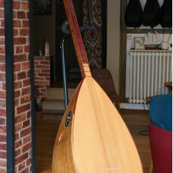 45 CM YAPRAK DUT KISA SAPLI BAĞLAMA (KOD: 03399)