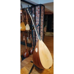 40 CM YAPRAK DUT KISA SAPLI BAĞLAMA (KOD: 03515)