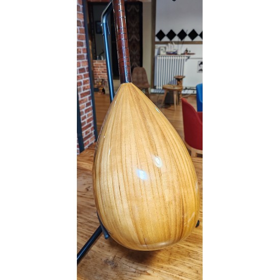 41 CM YAPRAK DUT KISA SAPLI BAĞLAMA (KOD: 03534)