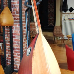 42,5 CM ARDIÇ KISA SAPLI BAĞLAMA (KOD: 03549)