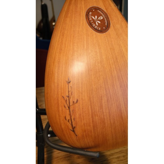 41 CM ARDIÇ KISA SAPLI BAĞLAMA (KOD: 03561)