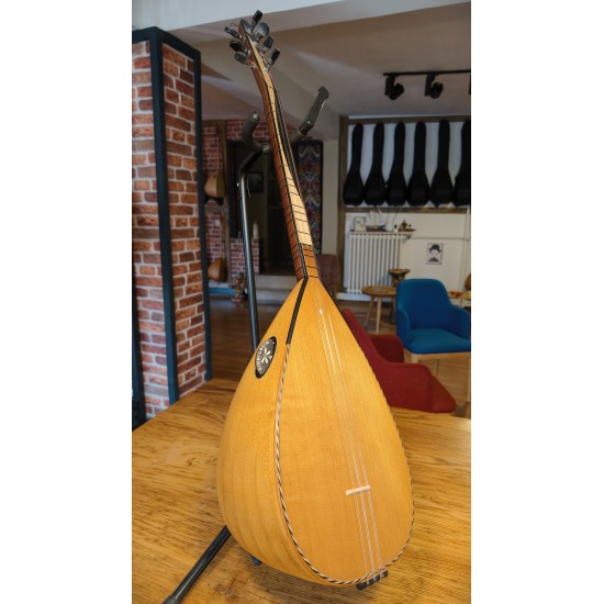 40 CM YAPRAK DUT KISA SAPLI BAĞLAMA (KOD: 03562)