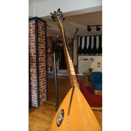 40 CM YAPRAK DUT KISA SAPLI BAĞLAMA (KOD: 03562)