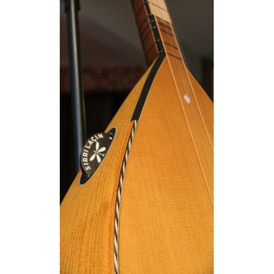 40 CM YAPRAK DUT KISA SAPLI BAĞLAMA (KOD: 03562)