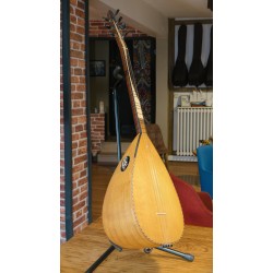 40 CM YAPRAK DUT KISA SAPLI BAĞLAMA (KOD: 03562)