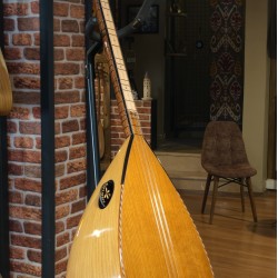 41 CM YAPRAK DUT KISA SAPLI BAĞLAMA (KOD: 03639)