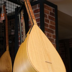 41 CM YAPRAK DUT KISA SAPLI BAĞLAMA (KOD: 03643)