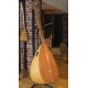42 CM YAPRAK DUT KISA SAPLI BAĞLAMA (KOD: 03653)