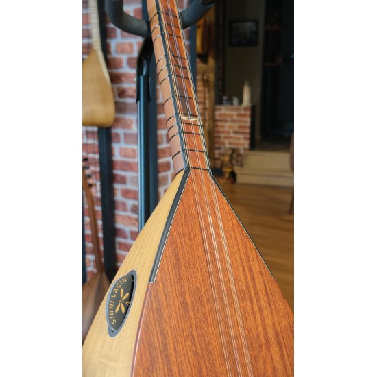 42 CM YAPRAK DUT KISA SAPLI BAĞLAMA (KOD: 03653)