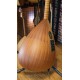 41 CM MAUN KISA SAPLI BAĞLAMA (KOD: 03668)