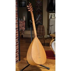 41 CM YAPRAK DUT KISA SAPLI BAĞLAMA (KOD: 03685)