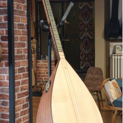 42 CM MAUN KISA SAPLI BAĞLAMA (KOD: 03696)