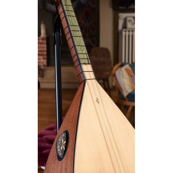 42 CM MAUN KISA SAPLI BAĞLAMA (KOD: 03696)