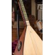 42 CM MAUN KISA SAPLI BAĞLAMA (KOD: 03696)