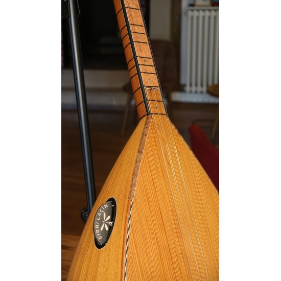 41 CM YAPRAK DUT UZUN SAPLI BAĞLAMA (KOD: 03566)